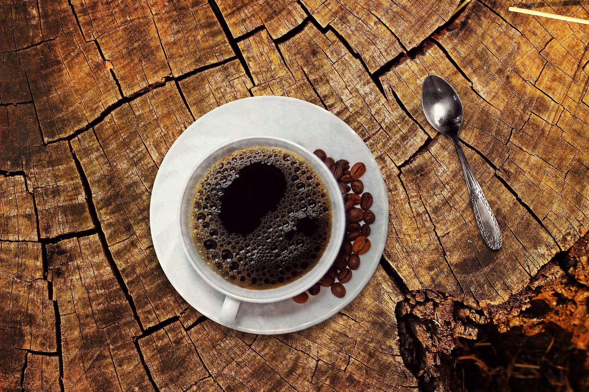 Kawa dla kawosza — jaki rodzaj wybrać?