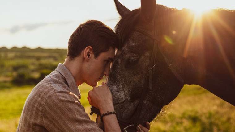 Jakie korzyści przynosi stosowanie naturalnych olejów w diecie konia?