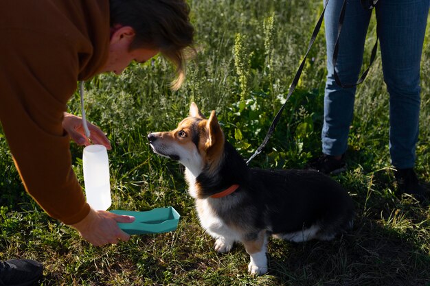 Efektywne szkolenie psa z wykorzystaniem naturalnych przysmaków treningowych